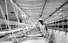 產業轉型與市場變遷 解讀數千工廠歇業背后的國內貿易挑戰與機遇