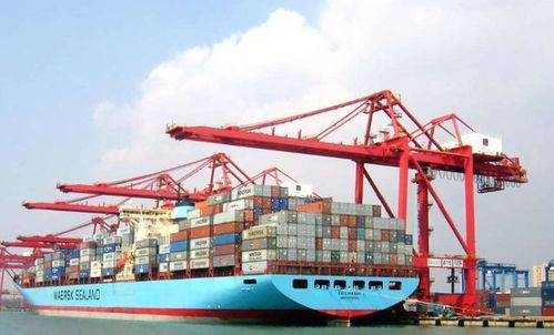 中俄豬肉貿易背后的國際博弈與民生考量